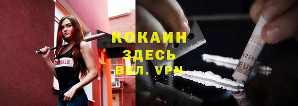 индика Семикаракорск